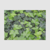 Green Ivy Botanical Print Tissuepapier (Voorkant)