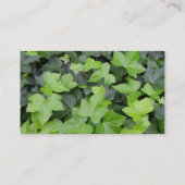 Green Ivy Botanical Print Visitekaartje (Achterkant)