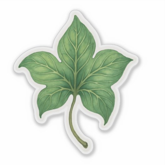 Green Ivy Leaf Botanical Sticker (Voorkant)