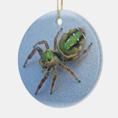 Green Jumping Spider-kerstversiering Keramisch Ornament (Links)