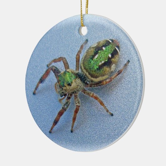 Green Jumping Spider-kerstversiering Keramisch Ornament (Links)