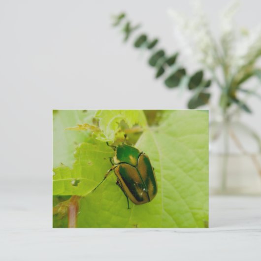 Green June Beetle Briefkaart (Staand voorkant)