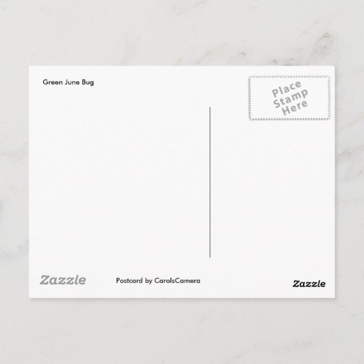 Green June Beetle Briefkaart (Achterkant)