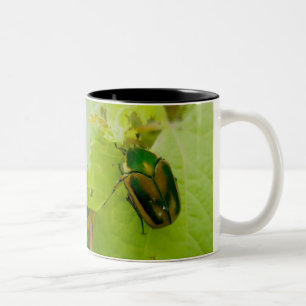 Green June Beetle Mok