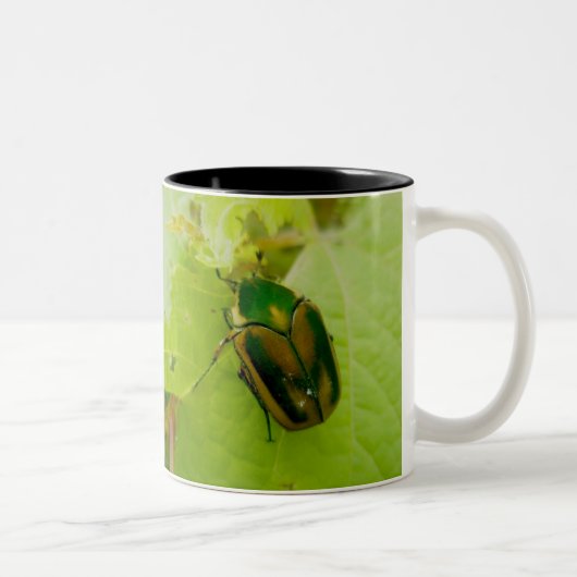 Green June Beetle Mok (Rechts)