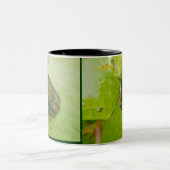 Green June Beetle Mok (Center)