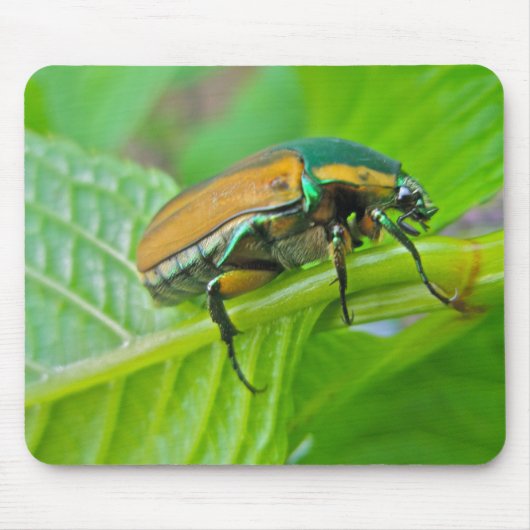 Green June Beetle Mousepad Muismat (Voorkant)