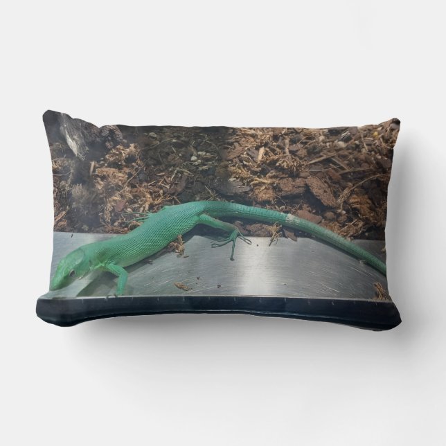 Green Keel Bellied Lizard Pillow Kussen (Voorkant)