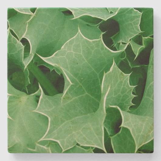 Green kerst Holly Stenen Onderzetter (Voorkant)