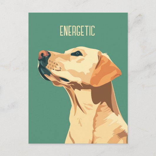 Green Labrador Retriever Briefkaart (Voorkant)