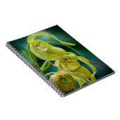 Green Lady Slipper Orchid Notitieboek (Rechterzijde)