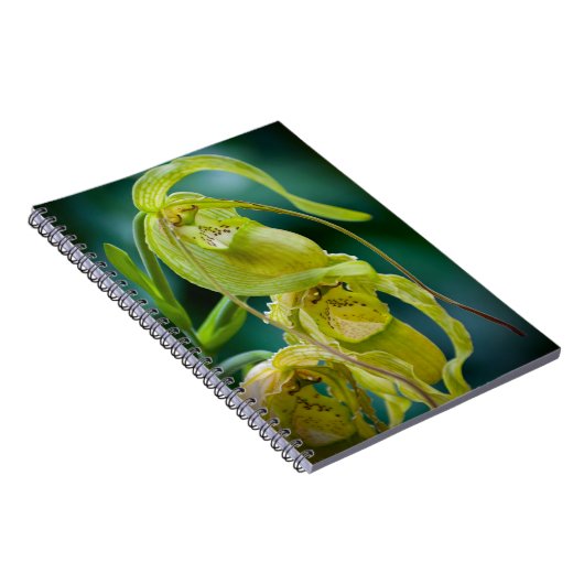 Green Lady Slipper Orchid Notitieboek (Rechterzijde)
