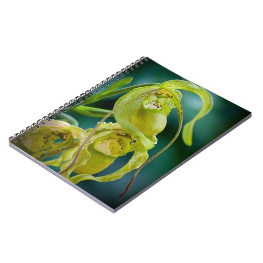 Green Lady Slipper Orchid Notitieboek (Linkerzijde)