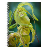 Green Lady Slipper Orchid Notitieboek (Voorkant)