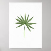 Green Leaf 2 Poster (Voorkant)