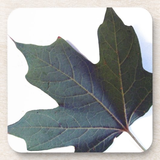 Green Leaf Bier Onderzetter (Voorkant)