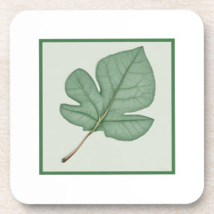 Green Leaf Bier Onderzetter