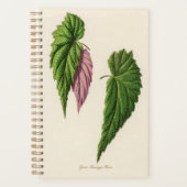 Green Leaf Botanic Gardener Gift Planner (Voorkant)