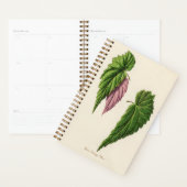 Green Leaf Botanic Gardener Gift Planner (Display)