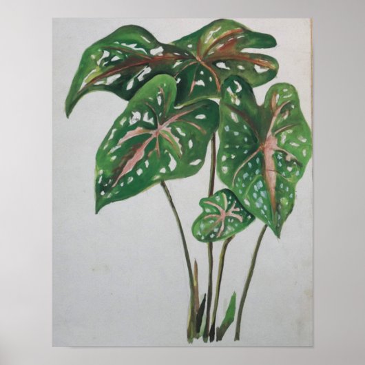 Green Leaf Botanical Wall Art Print (Voorkant)