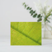Green Leaf Botanische Natuur Fotografie Briefkaart (Staand voorkant)