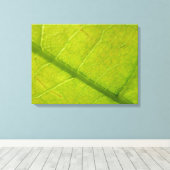 Green Leaf Botanische Natuur Fotografie Canvas Afdruk (Insitu (Houten vloer))
