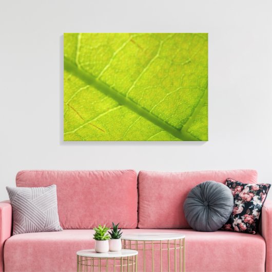 Green Leaf Botanische Natuur Fotografie Canvas Afdruk (Insitu (Woonkamer))