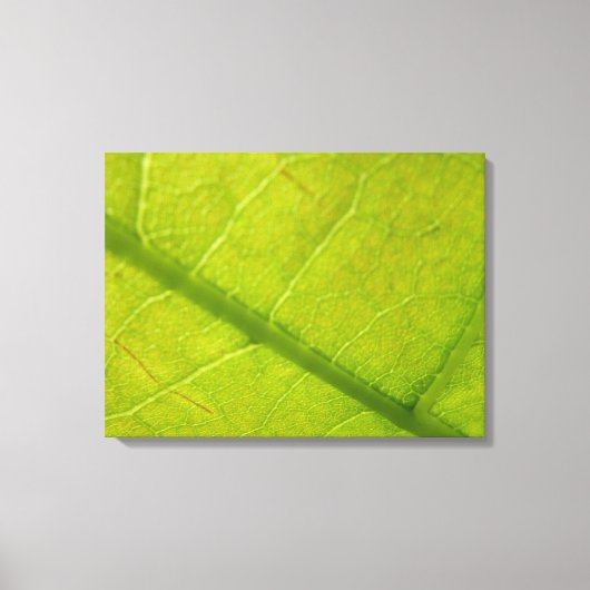 Green Leaf Botanische Natuur Fotografie Canvas Afdruk (Voorkant)