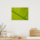 Green Leaf Botanische Natuur Fotografie Poster (Keuken)