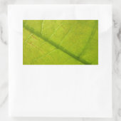 Green Leaf Botanische Natuur Fotografie Rechthoekige Sticker (Tas)