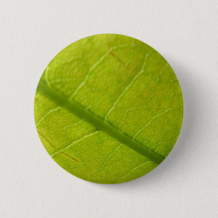 Green Leaf Botanische Natuur Fotografie Ronde Button 5,7 Cm