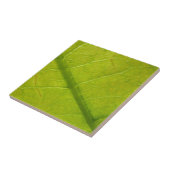Green Leaf Botanische Natuur Fotografie Tegeltje (Zijkant)
