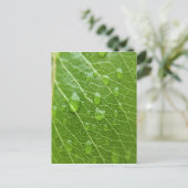 Green Leaf Briefkaart (Staand voorkant)