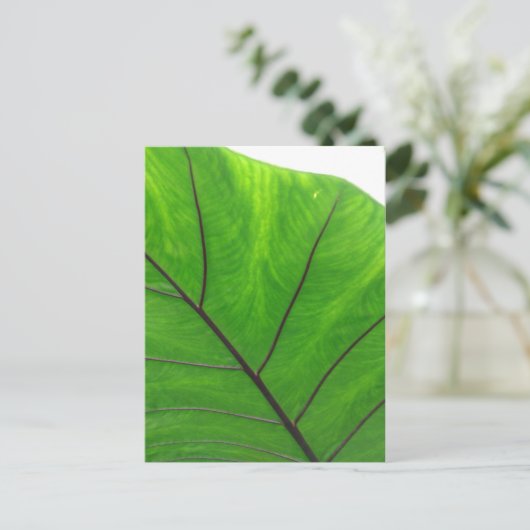 Green Leaf Briefkaart (Staand voorkant)