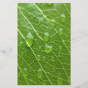 Green Leaf Briefpapier