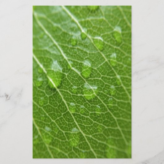 Green Leaf Briefpapier (Voorkant)