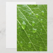 Green Leaf Briefpapier (Voorkant / Achterkant)