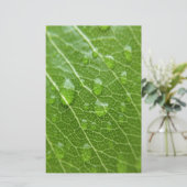 Green Leaf Briefpapier (Staand voorkant)