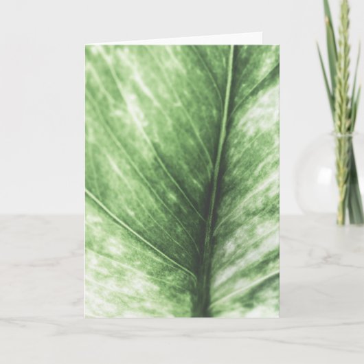 Green Leaf Floral Foto Kaart (Voorkant)