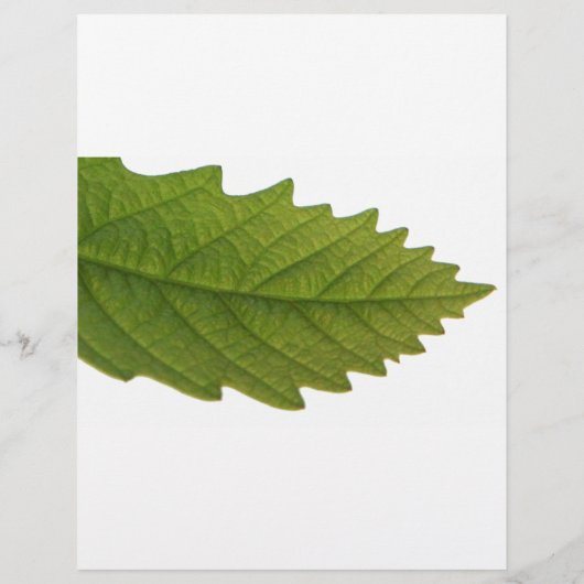 Green Leaf Flyer (Achterkant)