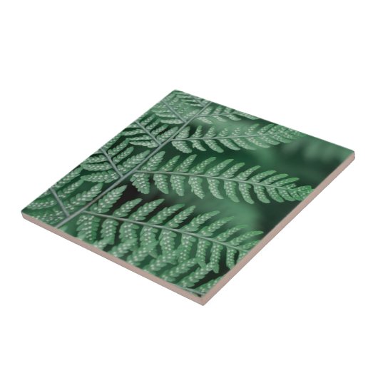 Green Leaf Focused Photo Tegeltje (Zijkant)