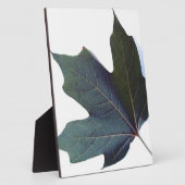 Green Leaf Fotoplaat (Zijkant)