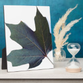 Green Leaf Fotoplaat (Zijkant)