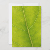 Green Leaf, Garden Party Kaart (Achterkant)