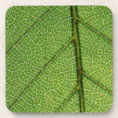 Green Leaf in detail Bier Onderzetter (Voorkant)