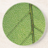 Green Leaf in detail Zandsteen Onderzetter (Voorkant)