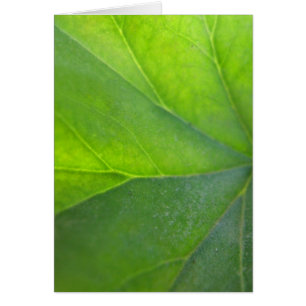 Green Leaf-kaart