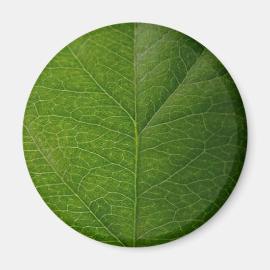Green Leaf Magneet (Voorkant)