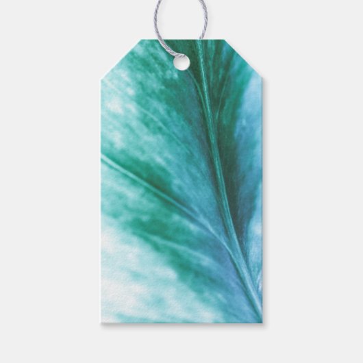 Green Leaf Natuur Foto Cadeaulabel (Voorkant)