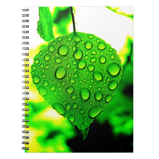 Green Leaf Notitieboek (Voorkant)